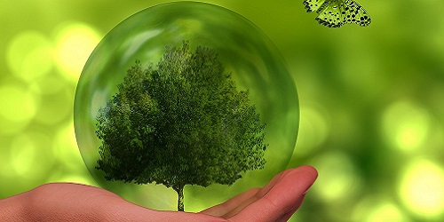 Nachhaltig und gruen Banner