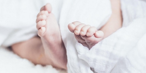 urlaub familien banner